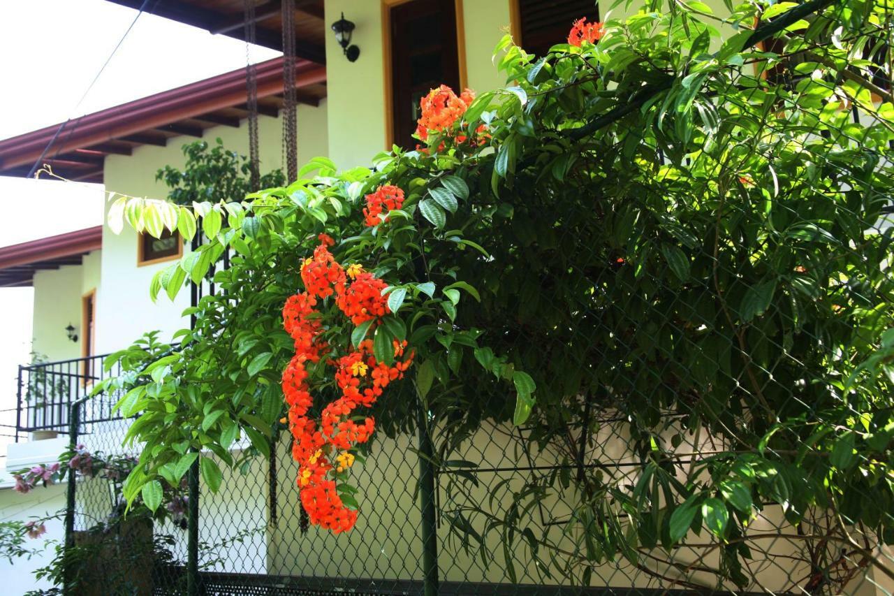 The Springfields Kandy Previously Madara Residence Kandy Exteriör bild